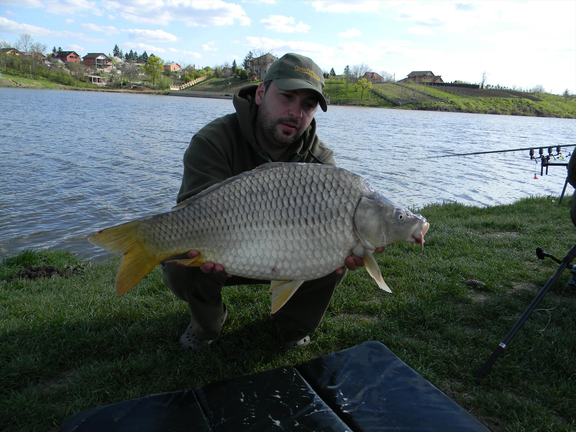 Capturi - dscn0303.JPG